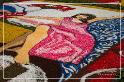 Infiorata di Genzano di Roma 2009 (835)