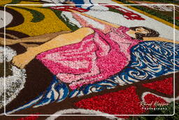 Infiorata de Genzano di Roma 2009 (837)