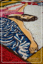 Infiorata di Genzano di Roma 2009 (838)