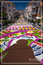 Infiorata de Genzano di Roma 2009 (850)