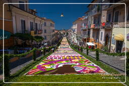 Infiorata de Genzano di Roma 2009 (862)