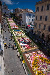 Infiorata von Genzano di Roma 2009 (865)