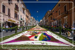 Infiorata de Genzano di Roma 2009 (876)