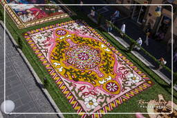 Infiorata von Genzano di Roma 2009 (889)