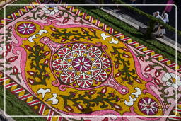 Infiorata von Genzano di Roma 2009 (891)