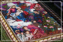 Infiorata of Genzano di Roma 2009 (895)