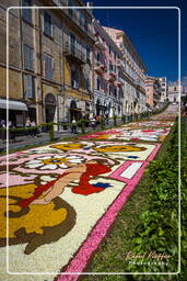 Infiorata di Genzano di Roma 2009 (899)