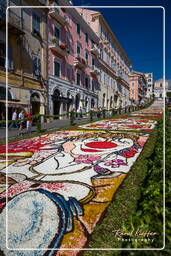 Infiorata von Genzano di Roma 2009 (903)