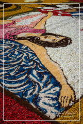 Infiorata di Genzano di Roma 2009 (911)