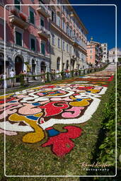 Infiorata von Genzano di Roma 2009 (912)