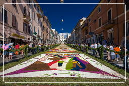 Infiorata von Genzano di Roma 2009 (922)