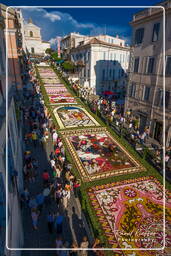 Infiorata of Genzano di Roma 2009 (934)