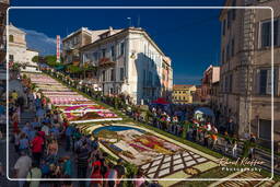 Infiorata of Genzano di Roma 2009 (938)