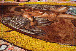 Infiorata de Genzano di Roma 2010 (1029)