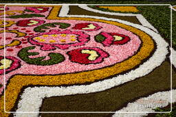 Infiorata de Genzano di Roma 2010 (1045)