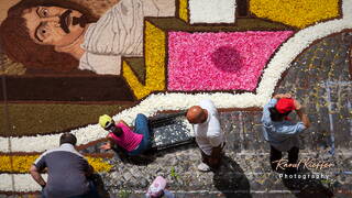 Infiorata of Genzano di Roma 2010, Lazio, Italy