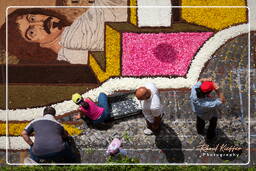 Infiorata de Genzano di Roma 2010 (1067)