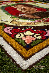 Infiorata von Genzano di Roma 2010 (1087)