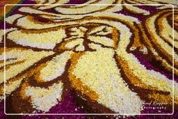 Infiorata of Genzano di Roma 2010 (1152)