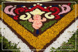 Infiorata von Genzano di Roma 2010 (1154)