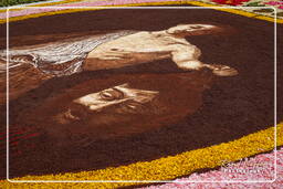 Infiorata di Genzano di Roma 2010 (1166)