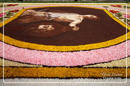 Infiorata von Genzano di Roma 2010 (1173)