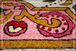 Infiorata von Genzano di Roma 2010 (1183)