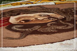 Infiorata di Genzano di Roma 2010 (1186)