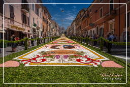 Infiorata de Genzano di Roma 2010 (1201)