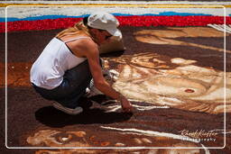 Infiorata von Genzano di Roma 2010 (1204)