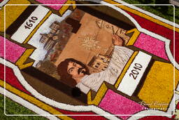 Infiorata of Genzano di Roma 2010 (1207)
