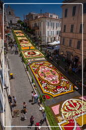 Infiorata di Genzano di Roma 2010 (1212)