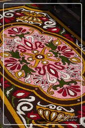Infiorata of Genzano di Roma 2010 (1214)