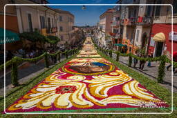 Infiorata of Genzano di Roma 2010 (1218)