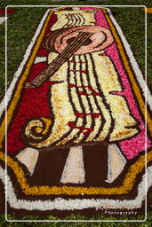 Infiorata von Genzano di Roma 2010 (1241)