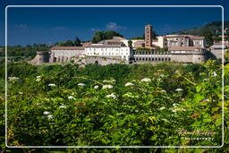 Abbazia di San Nilo (209)