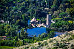 Oasi di Ninfa (62)