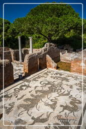 Ostia Antica (1)