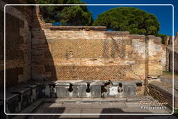 Ostia Antica (18)