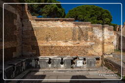 Ostia Antica (18)