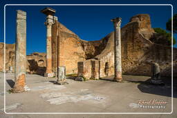 Ostia Antica (20)