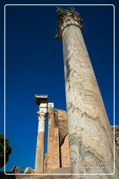 Ostia Antica (27)