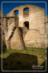 Ostia Antica (51)