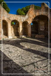 Ostia Antica (55)