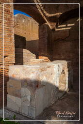 Ostia Antica (62)