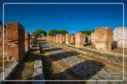 Ostia Antica (64)