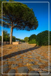 Ostia Antica (78)