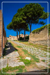 Ostia Antica (87)