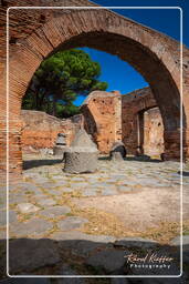 Ostia Antica (105)