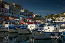 Ponza (62)